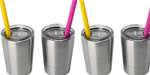 Amazon: TWO Stainless Steel Sippy Cups Just $12.79 (Includes Lids & Straws)
