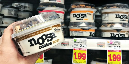 Kroger & Affiliates: FREE Noosa Yoghurt eCoupon (Download Today)