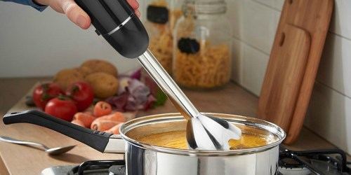Amazon: OXA 4-in-1 Hand Blender Just $31.92 Shipped (Fantastic Reviews)