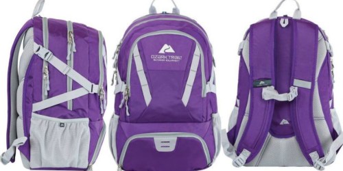 Walmart: Ozark Trail Day Pack Only $14.99 (Regularly $28) – Hydration Pack Compatible