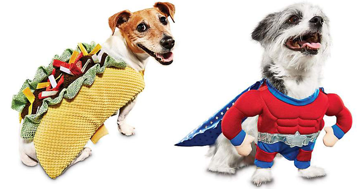 PetCo FREE Shipping on ANY Order = Super Fun Pet Halloween Costumes
