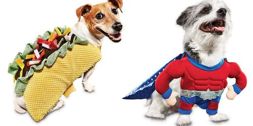 PetCo: FREE Shipping on ANY Order = Super Fun Pet Halloween Costumes Just $13.99 Shipped