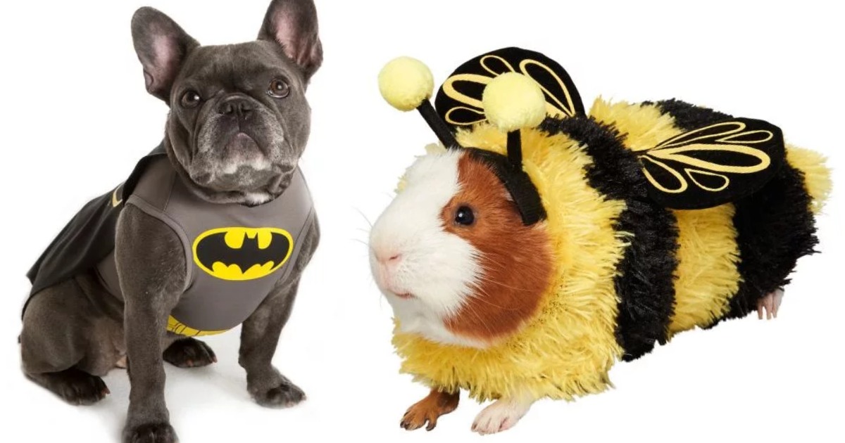 PetSmart Halloween Spooktacular Event FREE Pet Collar Safety Light & More