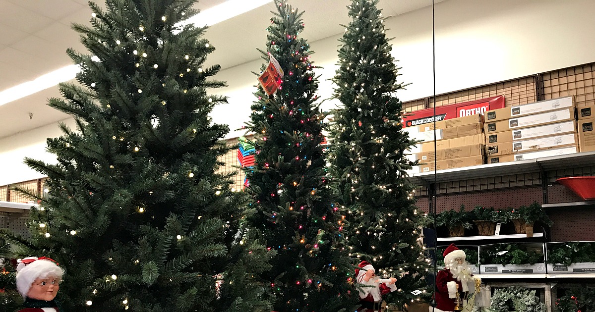 christmas trees in store