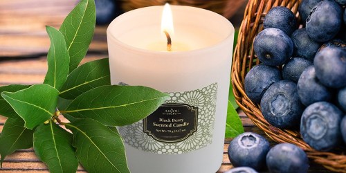 Amazon: Anjou Scented Candle 4-Piece Gift Set Only $10.99