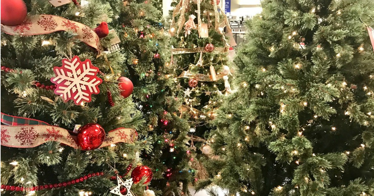 christmas trees on display in store