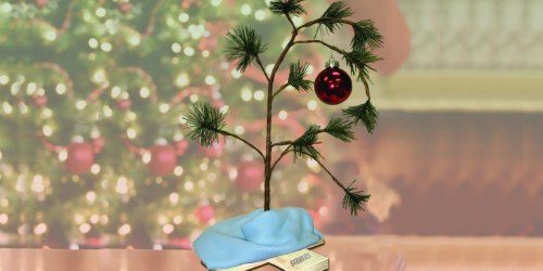 Charlie Brown Christmas Tree w/ Blanket & Ornament Just $12.98 on Walmart.com