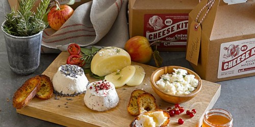 Williams-Sonoma: Cheese Tasting Kit Only $9.99 Shipped (Regularly $50)