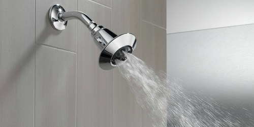 Amazon: Delta Faucet Adjustable Showerhead Only $15.19