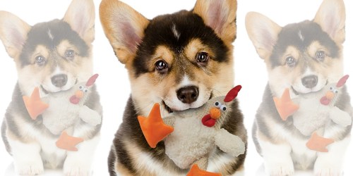Amazon: Plush Rooster Dog Chew Toy Just $2.24 (Regularly $12.60) – Ships w/ $25 Order
