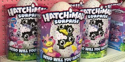 Target: Hatchimals Sets Only $39.99 Shipped (Regularly $60) + FREE Bonus 4-Pack