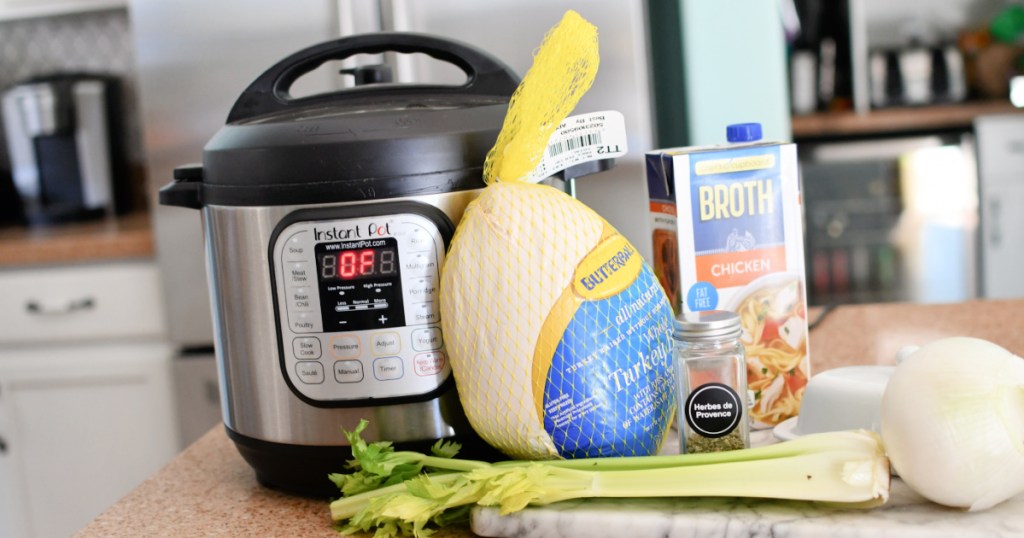 instant pot turkey ingredients