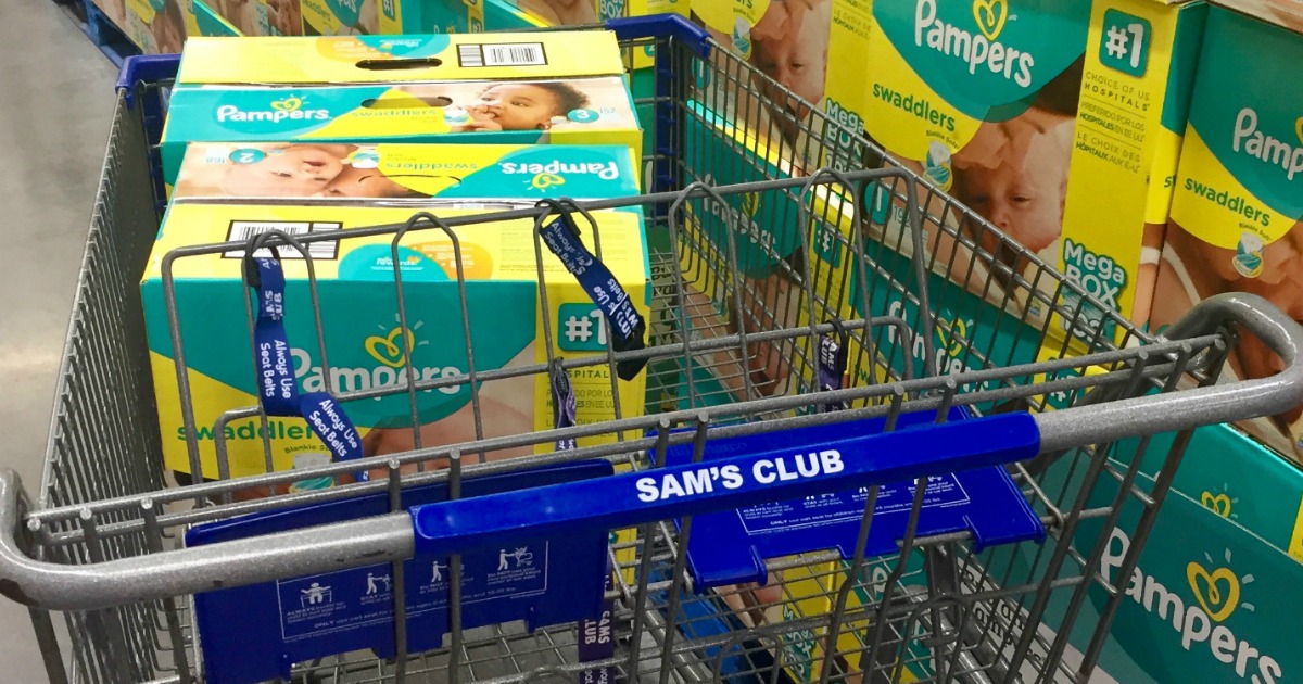 sam's club pampers diapers