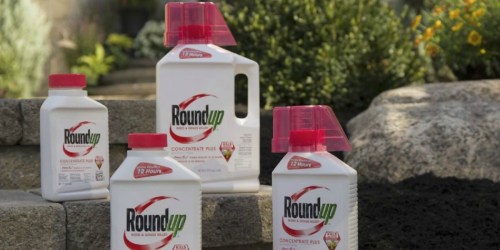 Amazon Prime: Roundup Weed and Grass Killer 64-Ounce Concentrate Only $10 Shipped