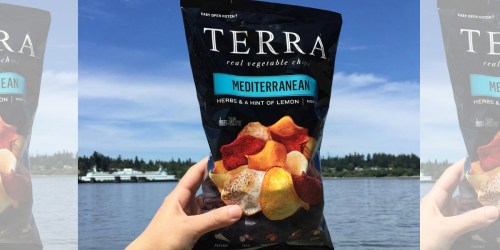 Amazon: Terra Vegetable Chips as Low as $1.85 Shipped