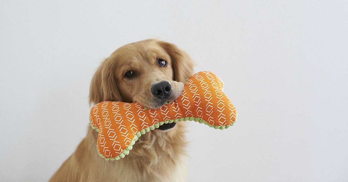 Reversible Corduroy Dog Toy As Low As $2.78 Shipped (Regularly $8+)