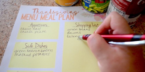 Countdown to Thanksgiving! Free Printables to Keep You Sane & On Track