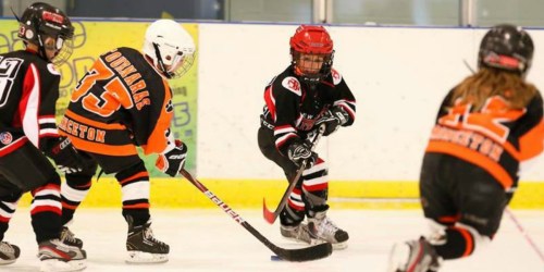 FREE Youth Hockey November 4th Only (Ages 4-9 Years Old)