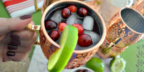 Make Cranberry Moscow Mules for a Crowd with this EASY Holiday Punch Recipe