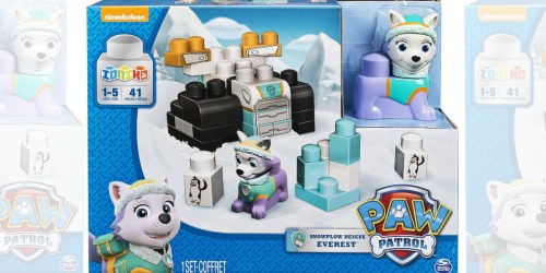 Walmart.com: Paw Patrol Snowplow Rescue Everest Playset Only $6.71 (Regularly $15)