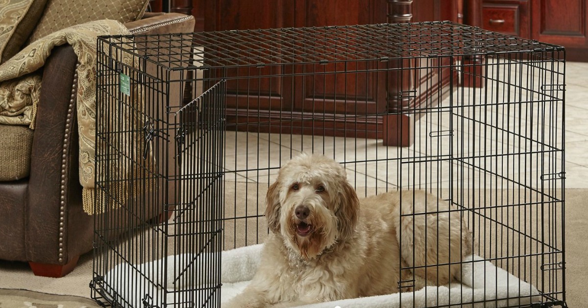 Amazon 42" Single Door Folding Dog Crate Just 26.59 Shipped
