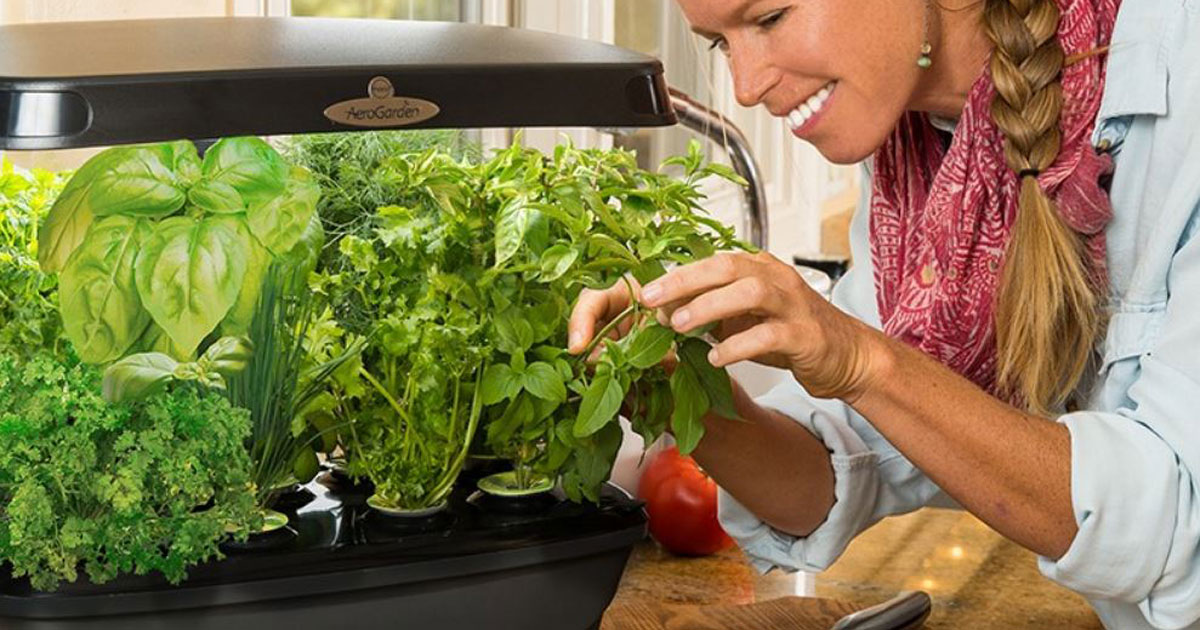 Aerogarden Indoor Hydroponic Herb Garden Just 199 95 Shipped On