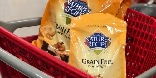 Target: 50% Off Nature’s Recipe Dog Food After Cash Back + More