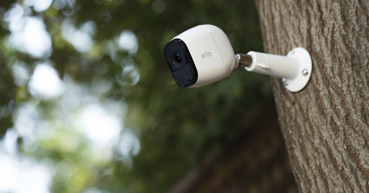 security camera mounted on a tree