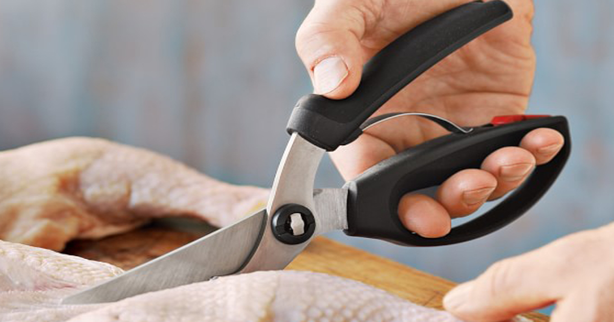 Amazon OXO Good Grips Poultry Shears Only 19.99