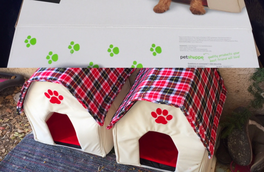 50 Off Dog Beds at Walgreens