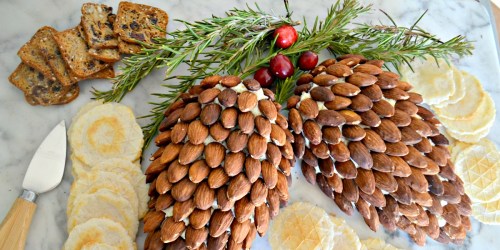This Easy Pinecone Cheese Ball Will Steal the Show at Your Holiday Party!