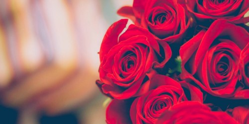 FIFTY Roses Only $49.98 Shipped at Costco and Sam’s Club (Order NOW for Valentine’s Day)