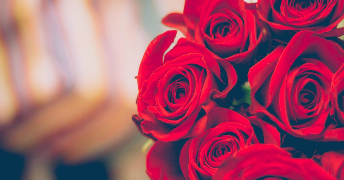 Sam's Club Members 50 Roses Only 38.98 Delivered