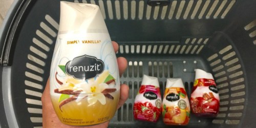 $3 Worth of New Renuzit Coupons = Air Freshener Cones 22¢ Each After Cash Back at Walgreens