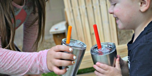 Amazon: TWO Stainless Steel Cups with Lids AND Straws Just $11.99