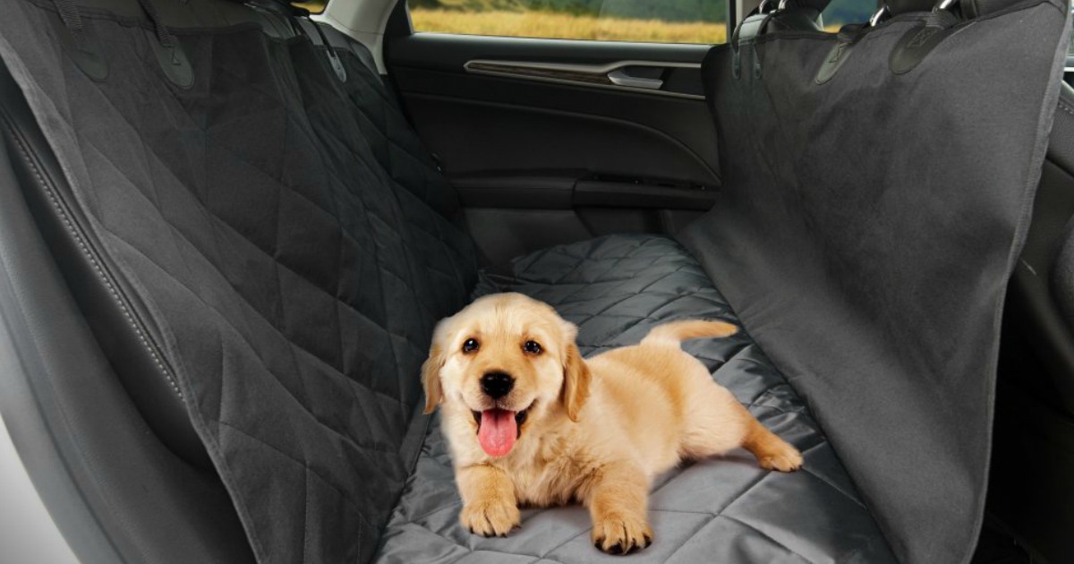 Amazon Waterproof Dog Seat Cover Just 15.99 Shipped (Awesome Reviews)