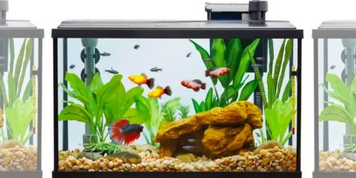 50% or More Off Aquarium Starter Kits at Petsmart