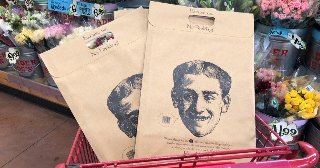 Trader Joe/'s 2019 Mystery pack 3 Reusable Shopping Grocery Tote Bags LIMITED