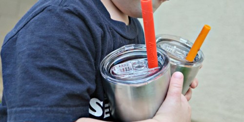 Amazon: Stainless Steel 12oz Tumbler w/ Lid AND Straw Just $8.99 (Great for Kids)