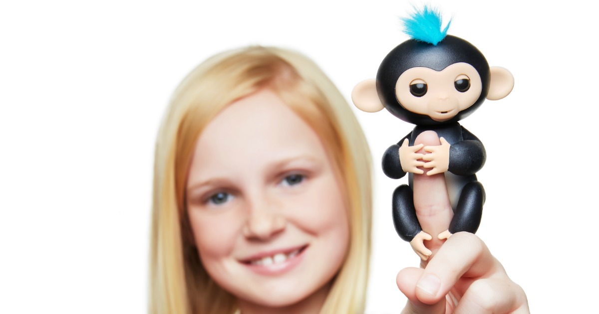 fingerlings monkey sale