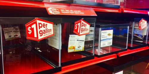$1 Per Gallon Open-Glass Aquarium Tanks Sale at Petco