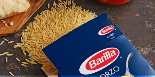 SIXTEEN Barilla Fideo OR Orzo Pasta Only $12.86 Shipped (Just 80¢ Each Box)