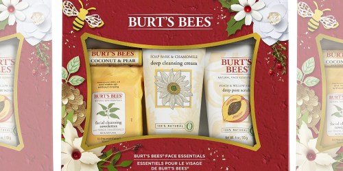 Amazon: Burt’s Bees Face Essentials 4 Piece Gift Set ONLY $4.48 (Regularly $15)