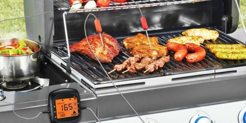 Wireless Meat Thermometer ONLY $27.99 Shipped