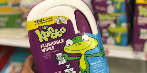 Kandoo Flushable Wipes Only $1.49 at Target