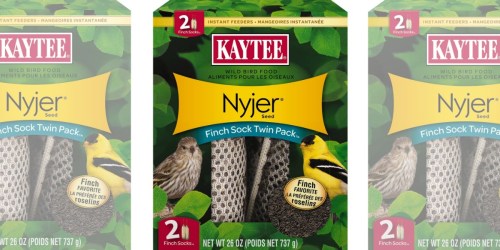 Amazon: Kaytee Finch Sock Twin Pack Only $6.20 (Regularly $14)