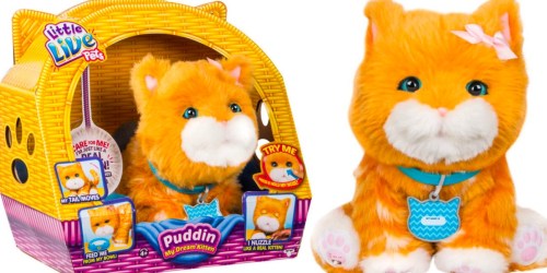 Little Live Pets Puddin My Dream Kitten Only $38.49 Shipped (Regularly $55)