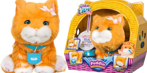 Little Live Pets Puddin My Dream Kitten Just $29.98 Shipped (Regularly $55)