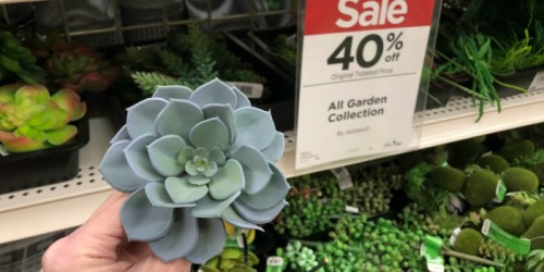 Almost 50% Off Artificial Plants at Michaels (Succulents, Cactus, Bamboo & More)
