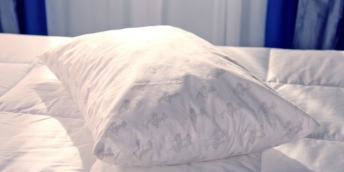 Up to 55% Off MyPillow Products + Free Shipping